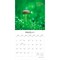 Brush Dance; Magic Mushrooms | 2027 12 x 24 Inch (Hanging) Monthly Square Wall Calendar | Plastic-Free; Category:Wall Calendars; Image:4